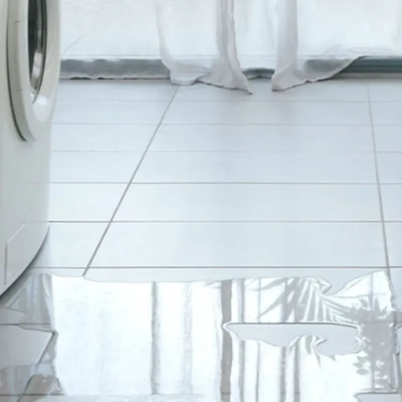 Appliance Leak Cleanup in Lancaster, MO