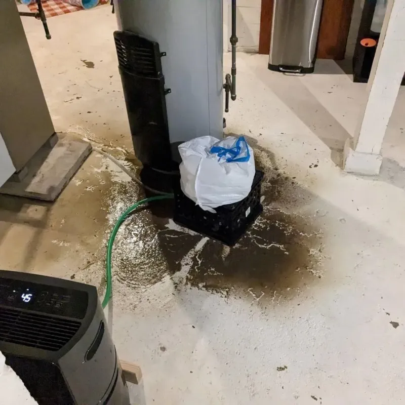 Sewage Backup Cleanup Service in Lancaster, MO